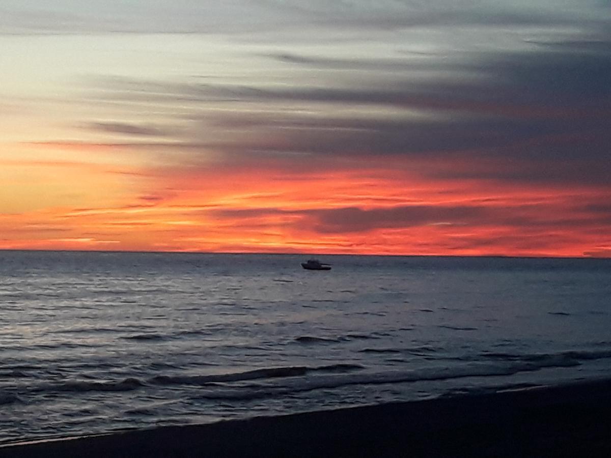 Su Terasa Jaukus Apartamentas, Tik Vienas Palanga Exterior foto